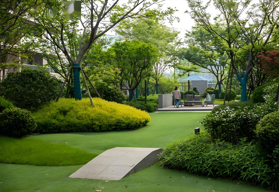 草坪铺地植物