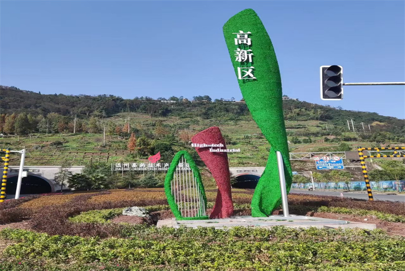 四川绿化波斯菊出售：美丽花卉的生态价值与市场前景